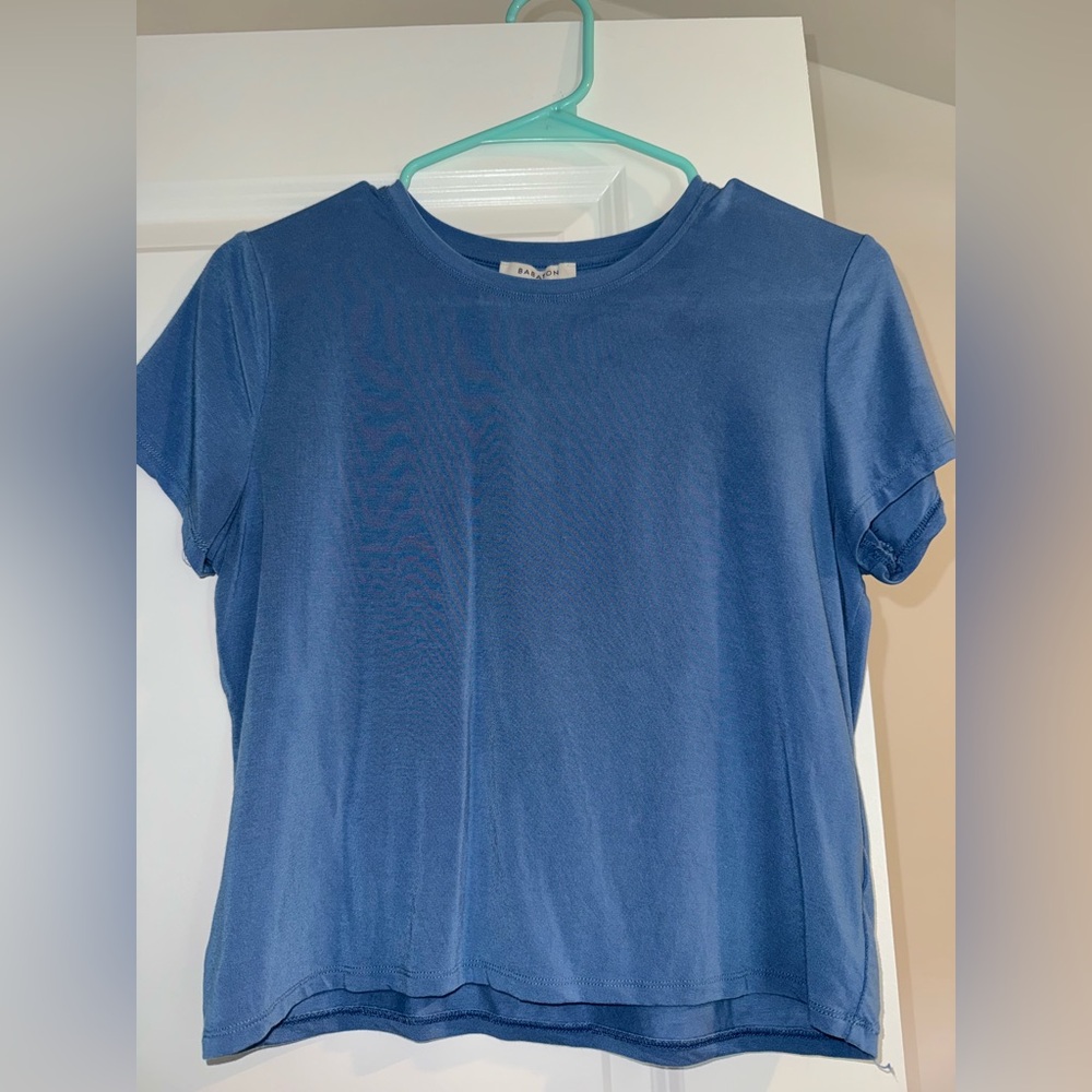 Aritzia babaton cropped t shirt